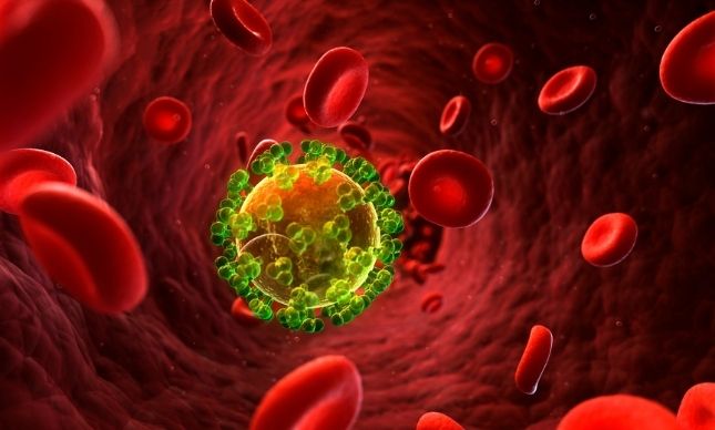 Vírus HIV/AIDS