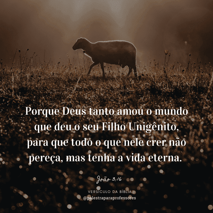 Versículo da bíblia João 3:16