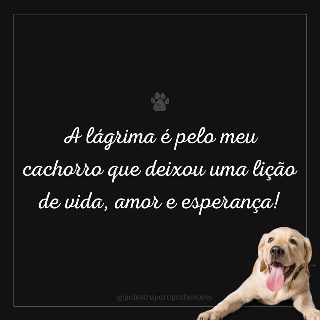 Luto cachorro frases