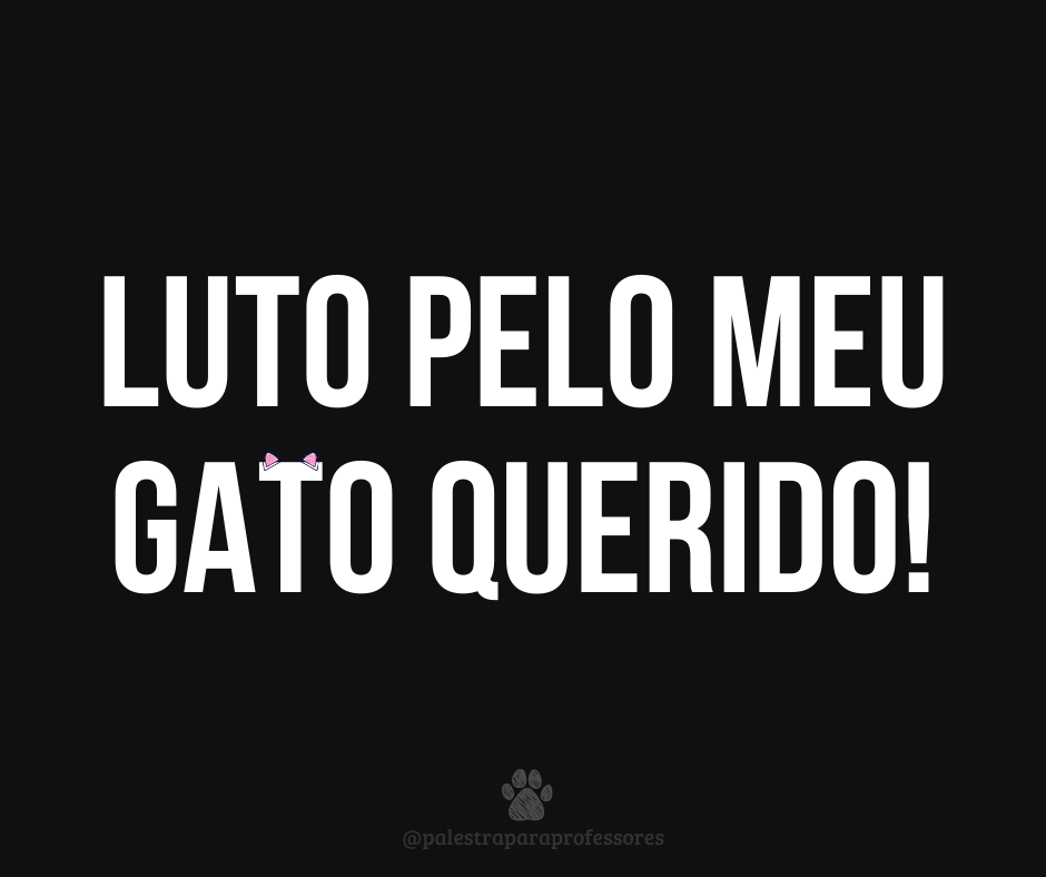 Luto gato 