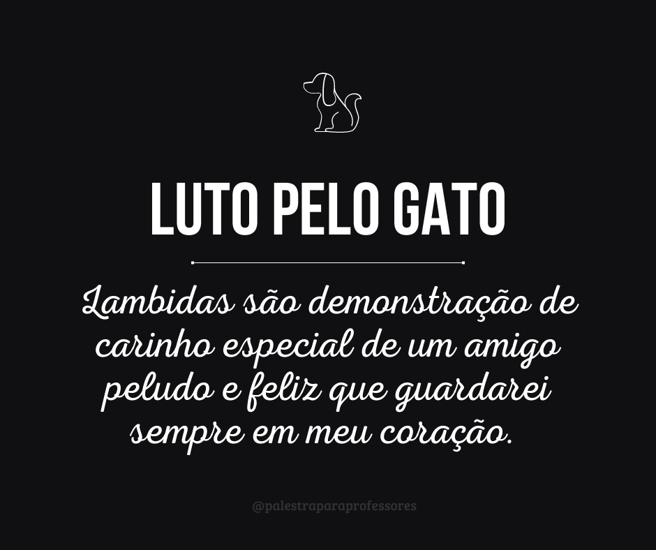 Luto gato 