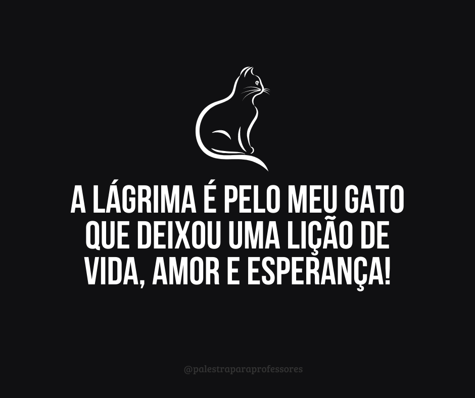 Luto gato 