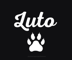 Luto gato