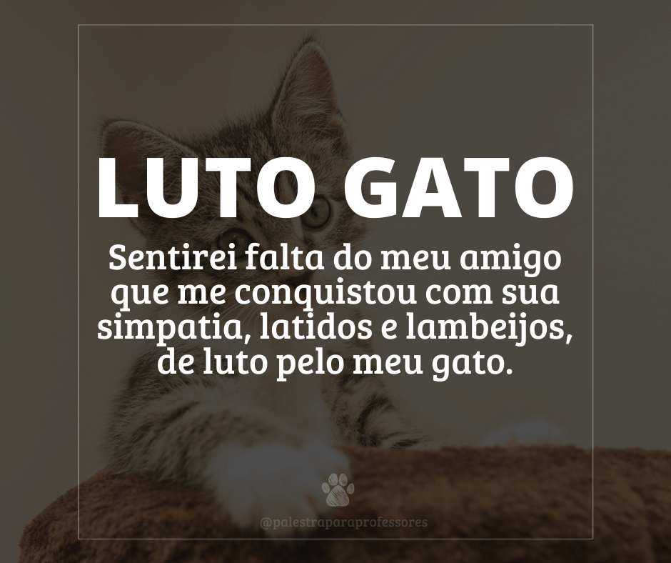 Luto gato 