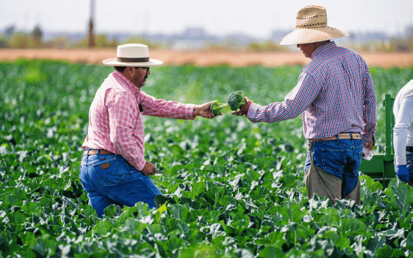 Nomes para fazenda