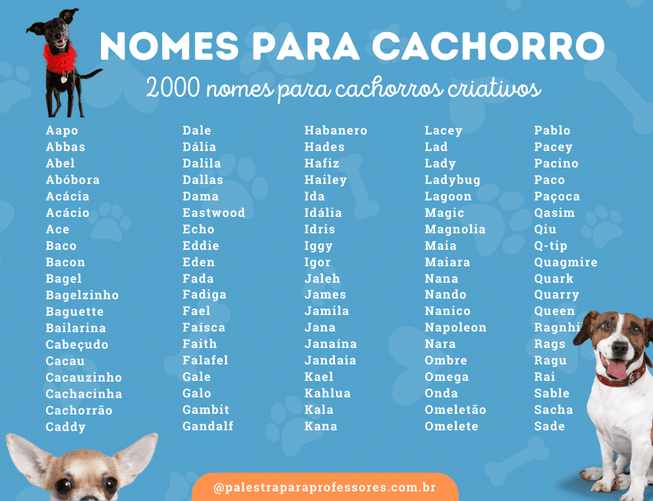 270 NOMES para CACHORROS PEQUENOS - Criativos e originais!