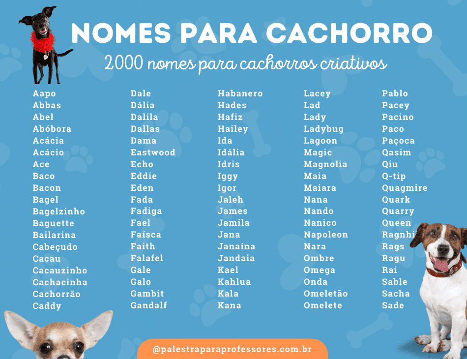 Nomes de cachorros com a letra M - bonitos e originais