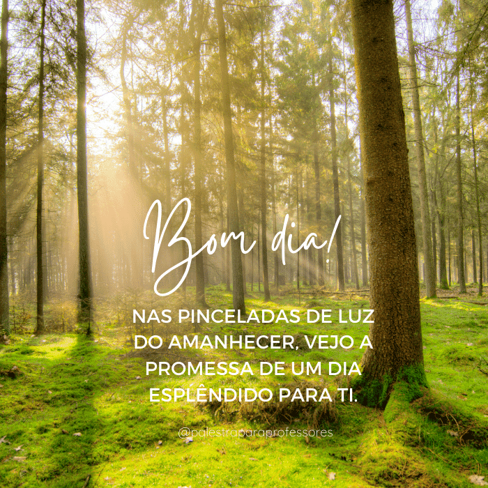 qual-e-a-mensagem-de-bom-dia-para-hoje-luz