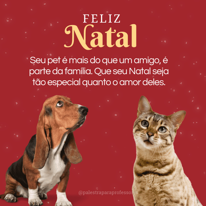 Mensagem de natal para clientes pet shop