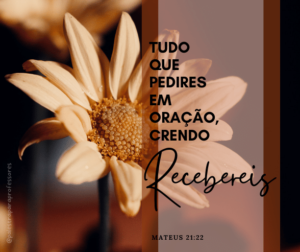 Mensagem de bom dia de natal